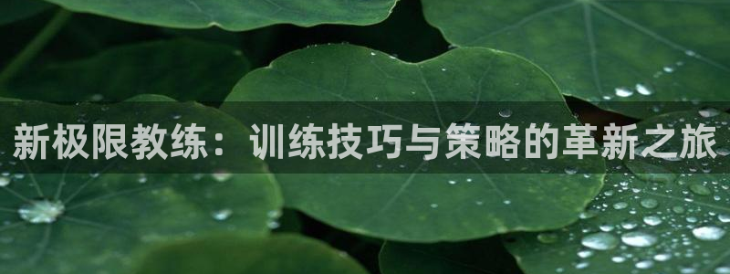 新极限教练：训练技巧与策略的革新之旅
