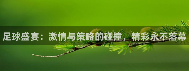 足球盛宴：激情与策略的碰撞，精彩永不落幕