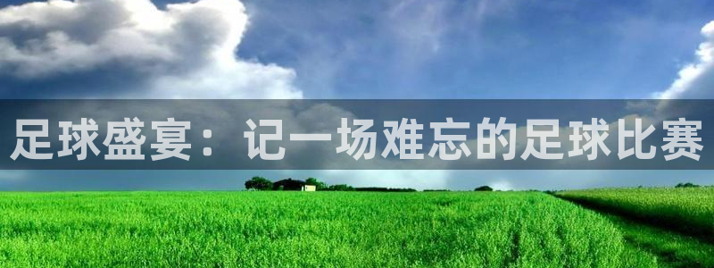 足球盛宴：记一场难忘的足球比赛