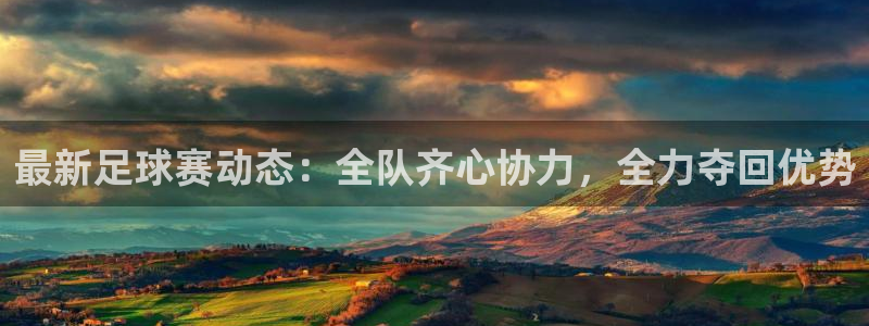 风速体育直播现场在哪看：最新足球赛动态：全队齐心协力，全力夺