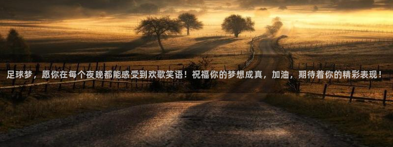 风速体育官方网站下载：足球梦，愿你在每个夜晚都能感受到欢歌笑