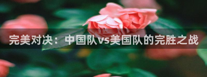 风速体育下载：完美对决：中国队vs美国队的完胜之战